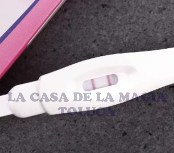 Captura de pantalla 2026 02 07 132941