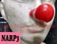 NP3