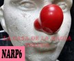 NP6